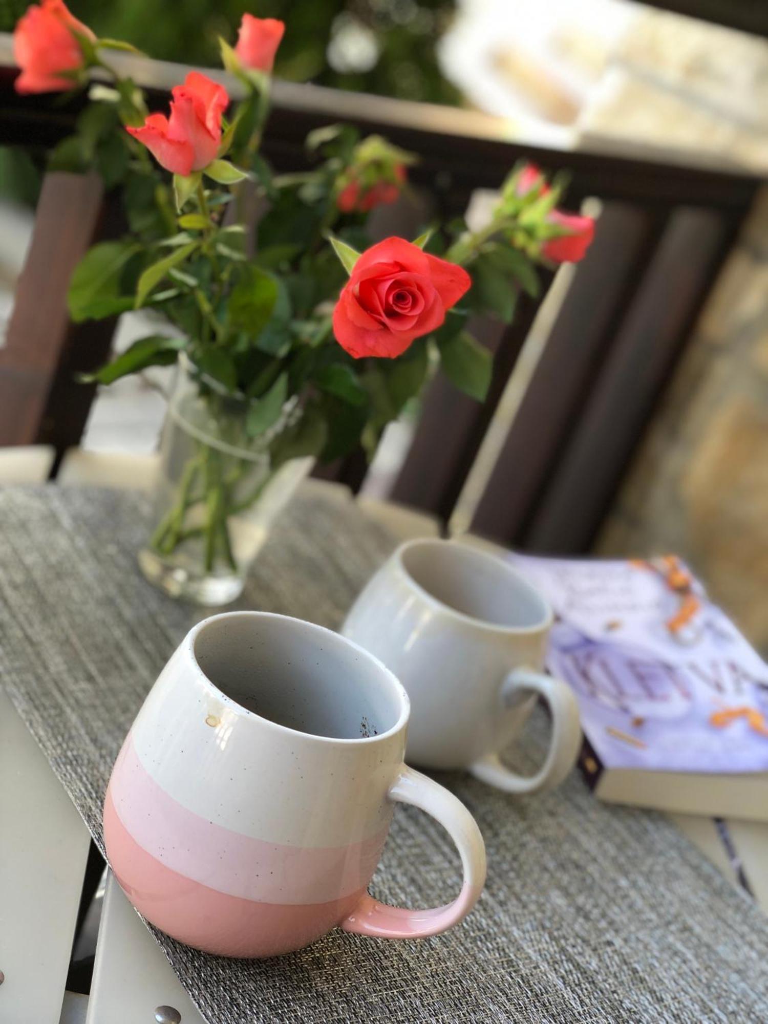 Danijela & Konak Zlatibor Dış mekan fotoğraf